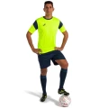 JOMA komplet meczowy PHOENIX